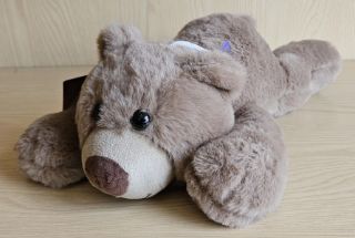 Obrázek z Medvěd ležící plyš 28cm, 2dr 
